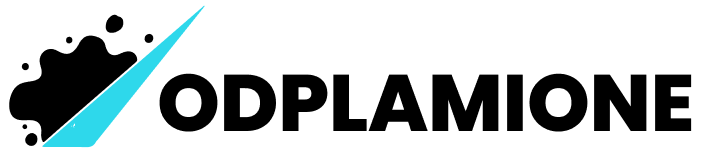 logo z napisem odplamione